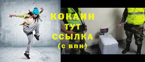 крисы Верея