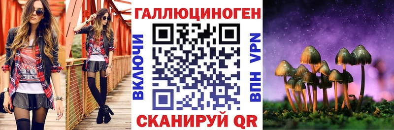Псилоцибиновые грибы прущие грибы  Любань 
